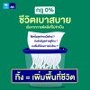 ชีวิตเบาสบาย ชีวิตเบาสบาย