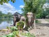 Tour Thailand