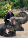 Elephant Program