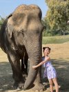Tour Thailand