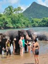 Tour THailand