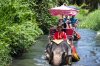 Elephant Riding