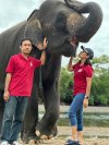 Elephant Program