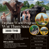 Elephant World & Wat Tham Suea One Day Tour