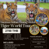 Damnoen Saduak Floating Market & Tiger World Tour