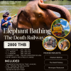 Elephant & The Death Railway One Day Tour