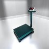 8801 เครื่องชั่งตั้งพื้น พิกัด 500 kg. - 1000 kg.