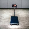 8801 เครื่องชั่งตั้งพื้น พิกัด 200 kg. - 300 kg.