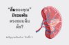 คุณอาจป่วย "ม้ามชื้น" ไม่รู้ตัว ! คุณอาจป่วย "ม้ามชื้น" ไม่รู้ตัว !