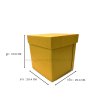 กล่องไอศกรีม 3.0 แกลอน   (Ice Cream Box 3.0 GL.)