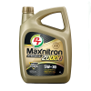 PT Maxnitron Synthetic 20000