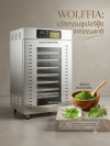 ไข่ผำผง คืออะไร?