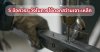 metal-drilling metal-drilling