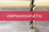 รูปปกองศาของดอกสว่าน รูปปกองศาของดอกสว่าน