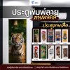 ประตูพิมพ์ลายมงคล เสือ  (LOMA DOOR)