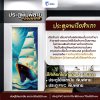 ประตูพิมพ์ลายมงคล เรือสำเภา (แบรนด์ LOMA)
