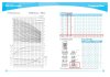 Multistage แนวตั้ง  CDL 2-220 (220v)