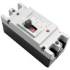 DC2P MCCB 500V 100A DC 2-Pole Molded Case Breaker