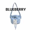 Blueberry