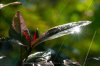 TAMRON EXPERIENCE : ย้อนแสง…เก็บสายฝน