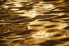 TAMRON EXPERIENCE : GOLD WATER…ปั้นน้ำเป็นทอง