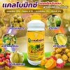 เเคลโบมิกซ์
