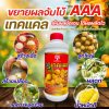 เทคเเคล