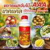 เทคเเคล