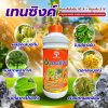 เทนซิงค์
