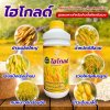 ไฮโกลด์