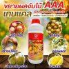 เทนเเคล