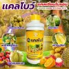 เเคลโบว์
