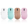 ZYGEN NP-01S Ergo Wireless