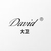 เดวิด (David)