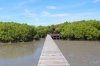 Laem Phak Bia – A Wetland Area for Nature Laem Phak Bia – A Wetland Area for Nature