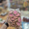 ผางประทีบสีชมพู 50 ชิ้น