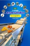 ความสำคัญของสายพานลำเลียงในการปฏิบัติทางอุตสาหกรรม ความสำคัญของสายพานลำเลียงในการปฏิบัติทางอุตสาหกรรม