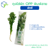 ถุงผักพิมพ์ลาย "ผักชี" แพ็คละ 100 ชิ้น