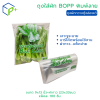 ถุงใส่ผักพิมพ์ลาย กวางตุ้งฮ่องเต้ BOPP เนื้อใส แพ็ค 100 ใบ