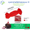 ถุงตาข่ายใส่มังคุด 1 กิโลกรัม พร้อมตัวล็อก หิ้วได้ แบบ H ตาข่ายยาว 36 ซม.
