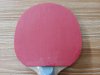 Used Rubber Butterfly Dignics 09C