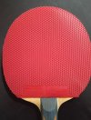 Used Nittaku AR Short pips