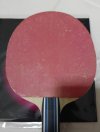 Used Butterfly Rozena