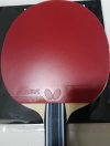 Used Butterfly Rozena