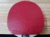 Used Rubber Butterfly Tenergy 05