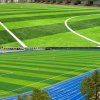 หญ้าเทียม สำหรับสนามฟุตบอล สำหรับปูตกแต่ง ทำสวน (High Quality Artificial Green Grass Pasto Deportivo Carpet)