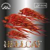 Der-materialspezialist Hellcat - Halflong Pimple