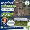 ขายที่ดินทำเลทอง ติดถนนใหญ่ ทางหลวงสายหลัก! ขายที่ดินทำเลทอง ติดถนนใหญ่ ทางหลวงสายหลัก!