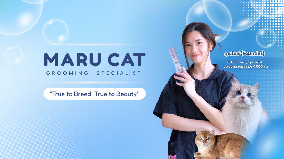 Maru Cat Group 2026: บทใหม่แห่งมาตรฐานการดูแลแมว 