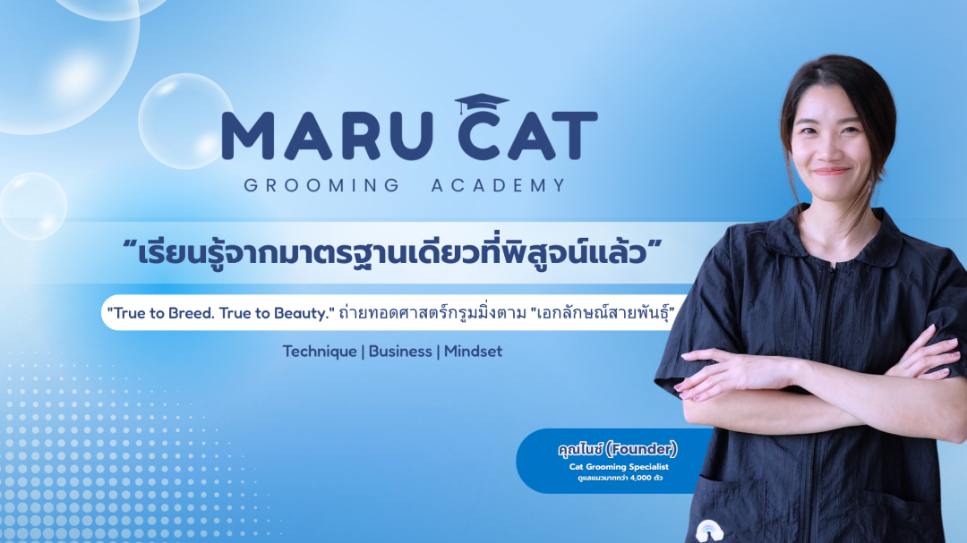 maru-cat-group-2026-true-to-breed-true